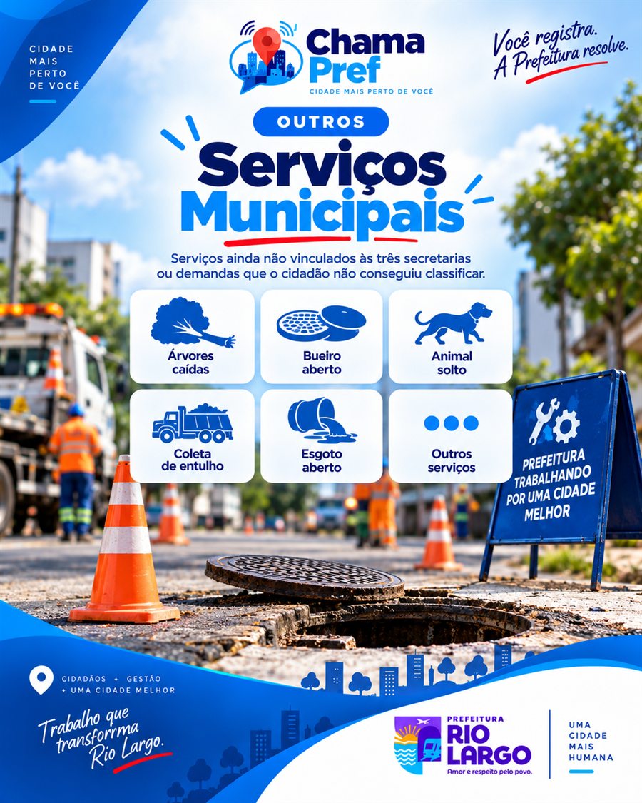 Outros serviços municipais, incluindo árvore caída, bueiro aberto, animal solto, coleta de entulho, esgoto aberto e demandas não classificadas.